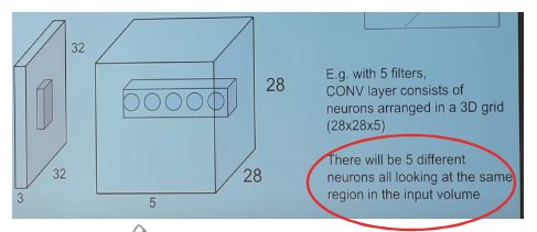 neuron3