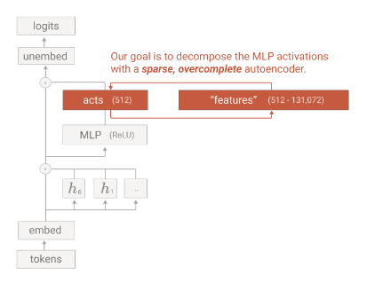 antropic_autoencoder